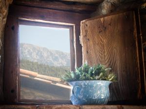 Fotografia z galérie ubytovania El Mas de Sant Vicenç - apartamentos rurales v destinácii Arsèguel