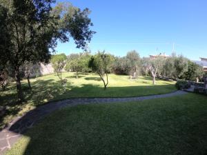 a walkway through a park with trees and grass at Casa vacanze "Gli Ulivi" Apt 1 in Matzaccara