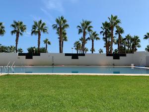a swimming pool with palm trees in the background at Las Terrazas I Magic World con Netflix, Disney plus y Prime Video in Oropesa del Mar