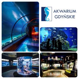 Fotografia z galérie ubytovania Apartament NOTI Gdynia z parkingiem v destinácii Gdynia