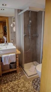 een badkamer met een douche en een wastafel bij Hôtel Le Grand Chalet Favre in Saint-Luc