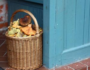 Gallery image of Dom w Puszczy in Kwiejce Nowe +45 photos