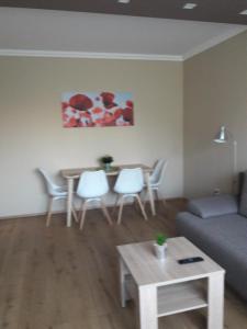 Stúdió+19 Apartman 3700 Kazincbarcika, 30 Csokonai utca 1. emelet kép - 2