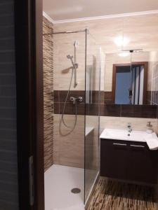 a bathroom with a shower and a sink at Stúdió+19 Apartman in Kazincbarcika