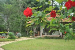una casa con un banco en un jardín con flores rojas en Pousada Quinta dos Pássaros Itaipava en Itaipava