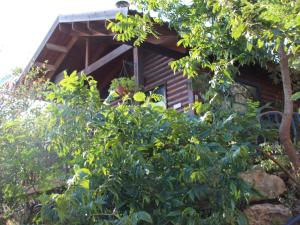 Giardino di First Light Cabins