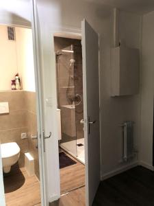 baño con ducha y puerta de cristal en LE NID DE LA PIRAZ - Parking, Balcon & Netflix !, en Annecy