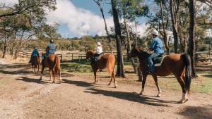 eine Gruppe von Menschen, die auf einer unbefestigten Straße reiten in der Unterkunft Country Club Tasmania in Launceston