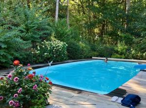 una piscina en un jardín con flores en La Maison D'hôtes Du Mont Des Cats, en Godewaersvelde