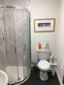 a bathroom with a shower and a toilet and a sink at Littlemead - Newly renovated private studio near Glastonbury in Glastonbury