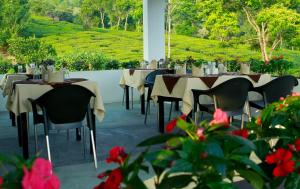Gallery image of Gruenberg Tea Plantation Haus in Munnar