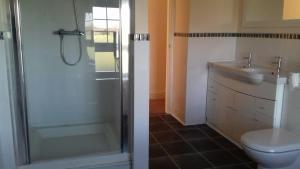 a bathroom with a shower and a toilet and a sink at Hamsteels Hall Cottages in Langley Park