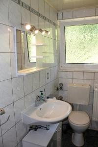 a bathroom with a sink and a toilet and a window at Ferienwohnung Jasmin in Schönau bei Heidelberg FEWO 2 in Schönau