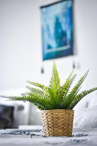 TV a/nebo společenská místnost v ubytování Gt Home encorp strand residence (alpha ivf )