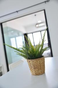 Fotografie z fotogalerie ubytování Gt Home encorp strand residence (alpha ivf ) v destinaci Kota Damansara