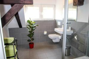 a bathroom with a toilet and a sink at Pension-Maustmühle in Peitz