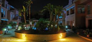 a large planter with palm trees in a courtyard at night at Natipao in Rota