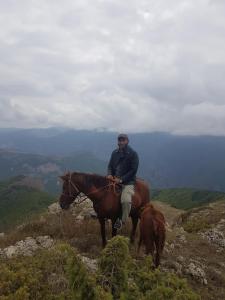 a man sitting on a horse on a mountain at Alex BnB in Tatʼev