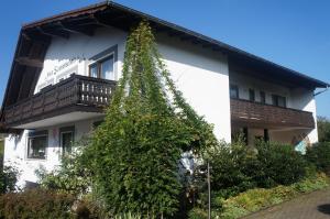 a building with a tree in front of it at Haus Sonnenschein in Mespelbrunn