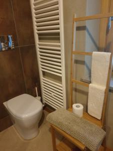 a bathroom with a toilet and a shelf with towels at L'uovo e la faina in Busca