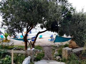 a beach with a tree and chairs and a boat at Vassia's Beach Houses in Benitses