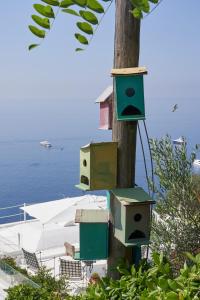 Táj Show holiday homes közelében