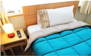 Gallery image of Hotel Romano in Concepción