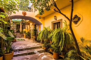 Zahrada ubytování Villa Mirasol
