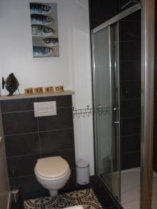 un bagno con wc e doccia di Workshop with shared pool for 2-6 in Semur en Auxois, Burgundy a Semur-en-Auxois