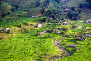 an aerial view of a village in a green field at Hmong Sister House and Trekking in Sa Pa