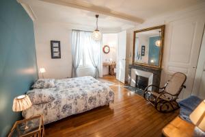 a bedroom with a bed and a fireplace and a mirror at Maison des 7 lieux in Chablis