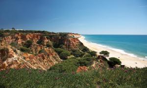 a view of a beach and the ocean at PortoBay Falesia in Albufeira