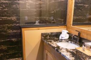 Gallery image of Great Wolf Lodge Waterpark Resort in Niagara Falls