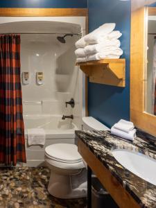 A bathroom at Great Wolf Lodge Waterpark Resort