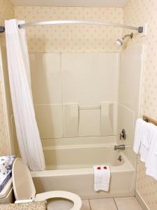 a bathroom with a tub and a toilet and a shower at Whitney Inn & Suites in Hamden