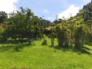 旅馆周边自然景观