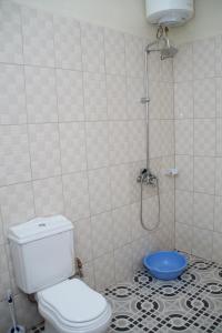 a bathroom with a toilet and a shower in it at Jowillis Hotel in Kabale