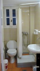 a bathroom with a toilet and a sink at Tatsis Apartments in Masouri