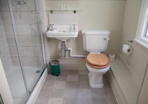 a bathroom with a toilet and a sink and a shower at The Kings Arms Hotel in Malmesbury