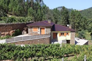 a house in the middle of a vineyard at Casa do Tio Quim in Castelo de Paiva