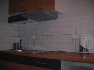 Kuchnia lub aneks kuchenny w obiekcie APARTAMENTY CENTRUM PAŁACOWA