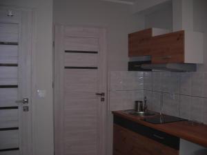 Kuchnia lub aneks kuchenny w obiekcie APARTAMENTY CENTRUM PAŁACOWA