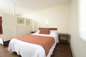 a bedroom with a large bed in a room at Dptos Castelar in Viña del Mar