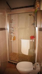 Brion-près-Thouet的住宿－特魯伊皮伊特旅館，浴室设有玻璃淋浴间和卫生间