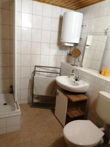 łazienka z toaletą, umywalką i wanną w obiekcie Haus Königstein FeWo Bielablick w mieście Königstein an der Elbe