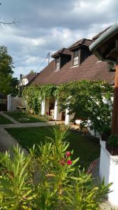 una casa con un patio verde con plantas en Derű Vendégház és Lovasudvar en Fenyőfő