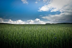 Galeriebild der Unterkunft Studiohaus Haus Roswitha in Geisfeld + 17 Fotos
