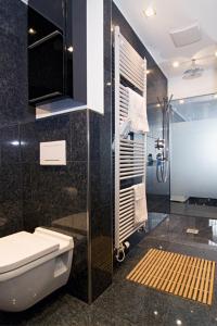 een badkamer met een toilet en een glazen douche bij Maria Suite am Dom in Keulen