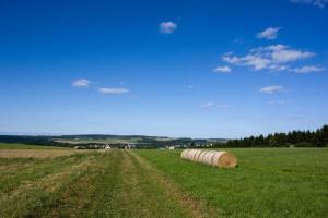 eine Gruppe von Heuballen auf einem Feld in der Unterkunft Studiohaus Haus Roswitha in Geisfeld