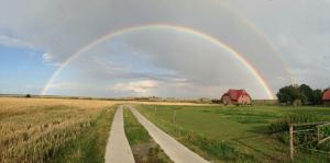 萬格爾蘭的住宿－Ferienhof Schild FeWo Bullerbü，一条有路和谷仓的田野上的一个彩虹